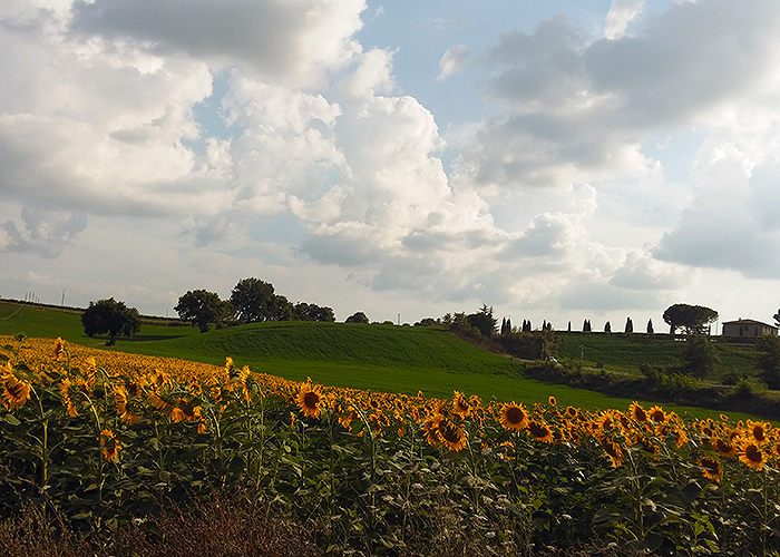 Molino della Tuoma